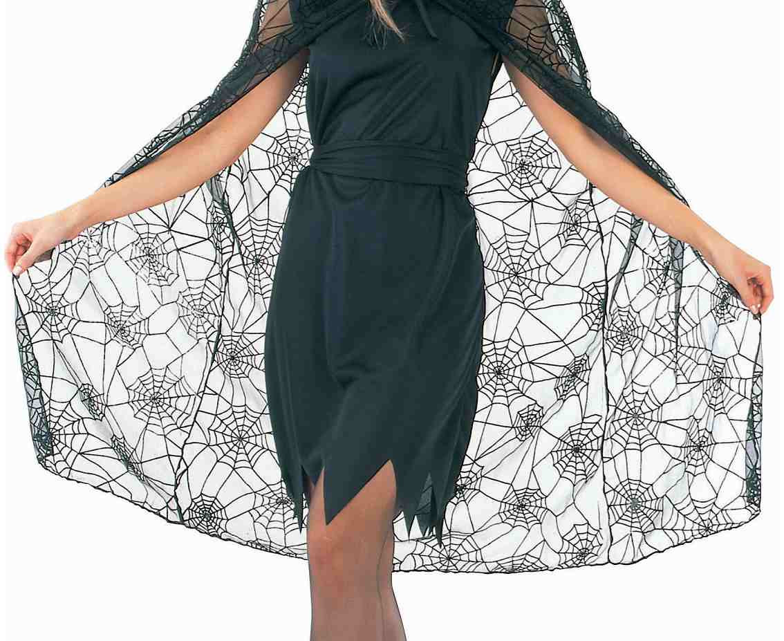 Hooded cape Spider, one size